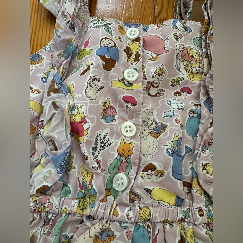 Beatrix Potter Dress - Picture 6 of 6